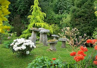 Knockrose Garden Knockrose Garden