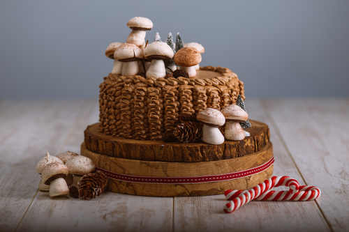 Christmas Chocolate Cake