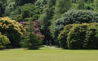 John F Kennedy Arboretum - New Ross County Wexford Ireland