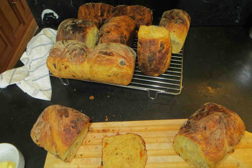 Pain Fruit&Atilde;&fnof;&Acirc;&copy; du Presbyt&Atilde;&fnof;&Acirc;&uml;re