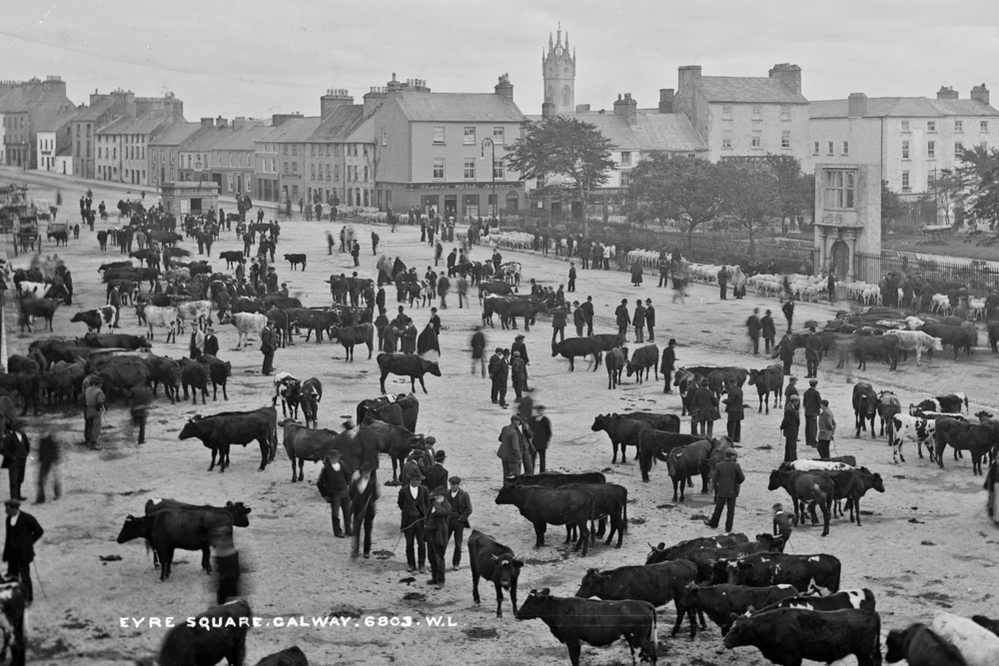 Galway Continental Christmas Market
