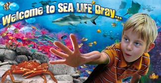 National Sea Life Centre - Bray County Wicklow Ireland