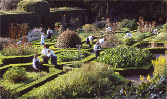 Ballymaloe Cookery School - County Cork Ireland - Herb Garden
